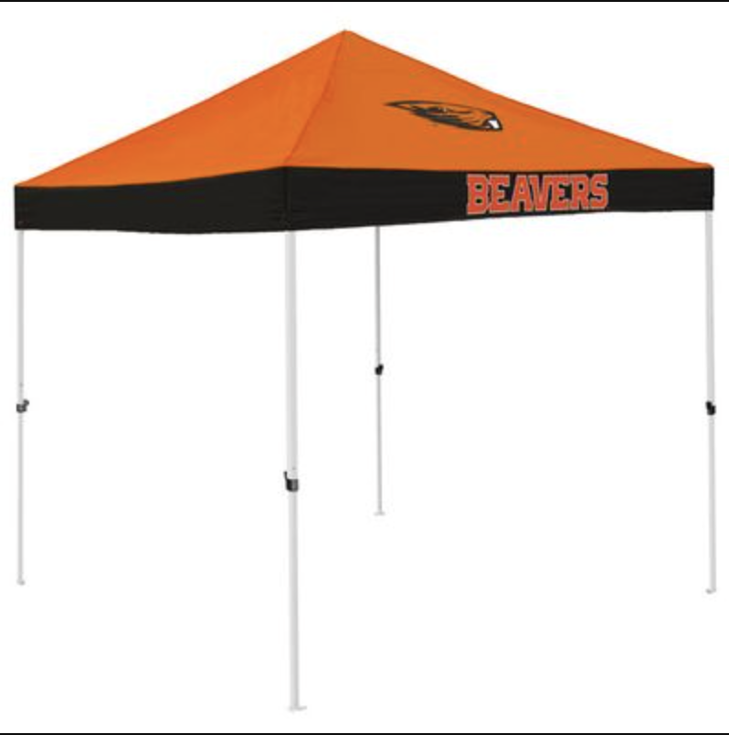 9x9 canopy