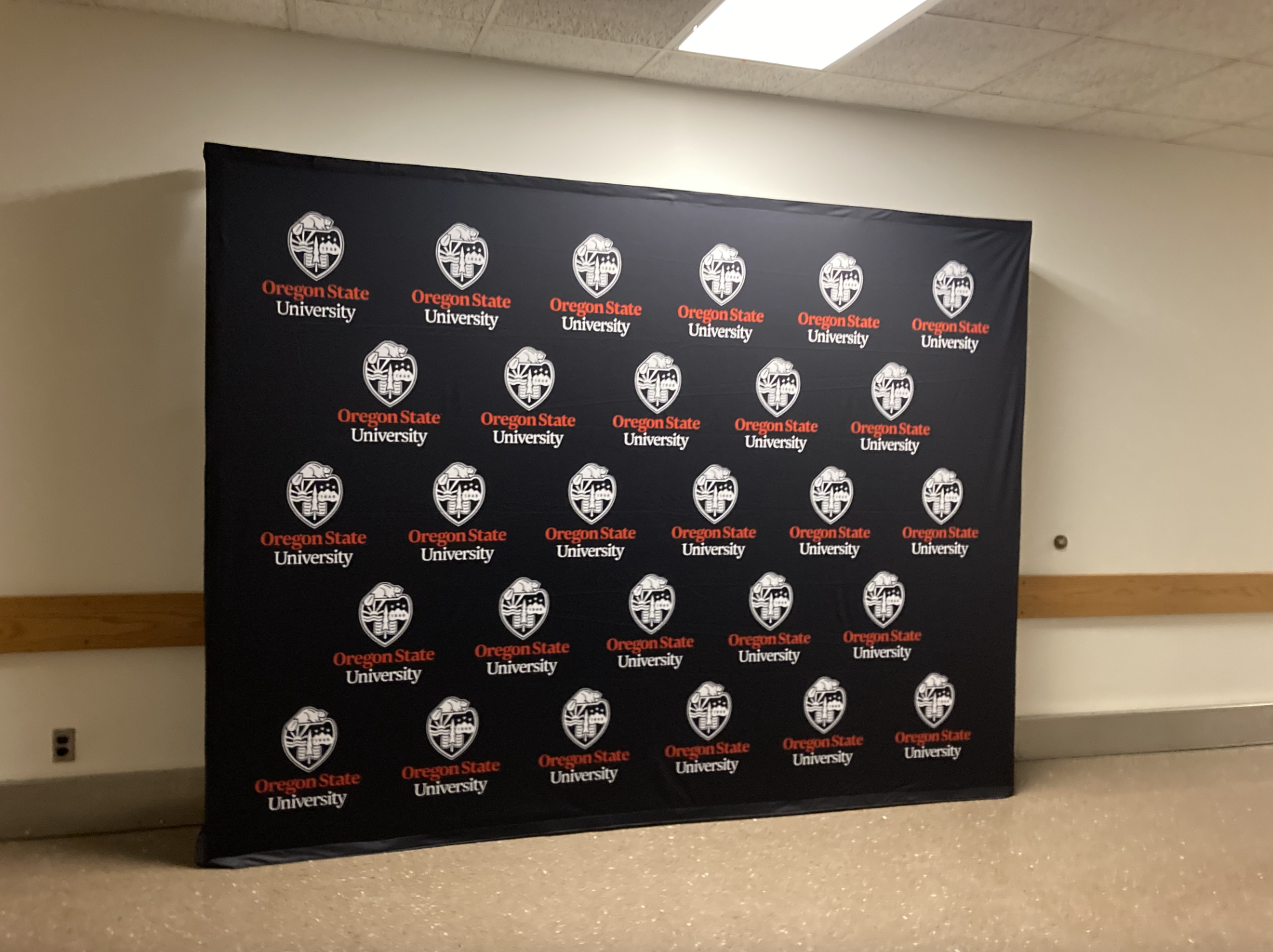 Black Oregon State Backdrop 
