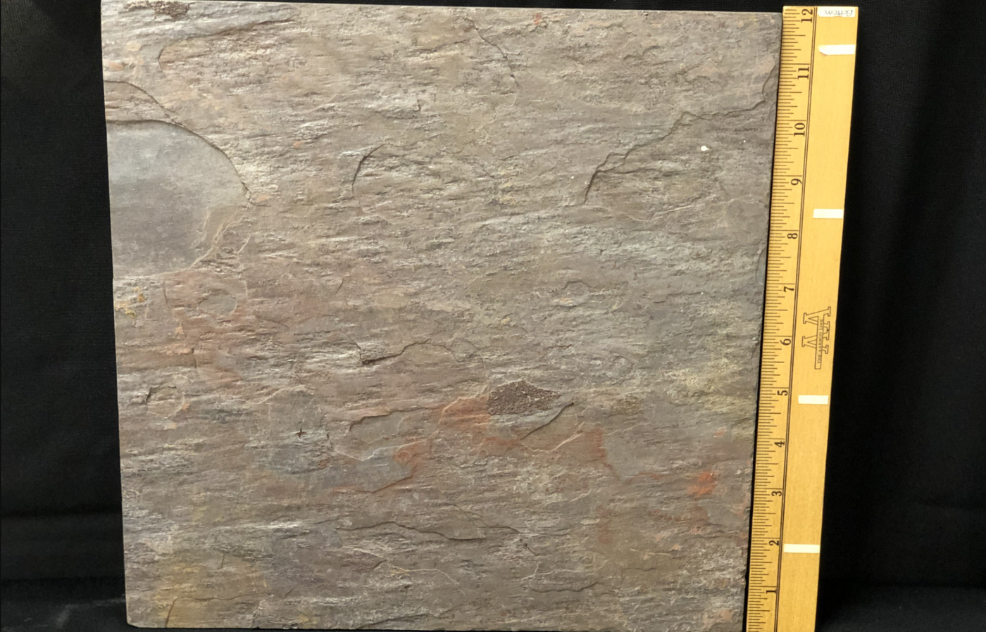 Slate Tile