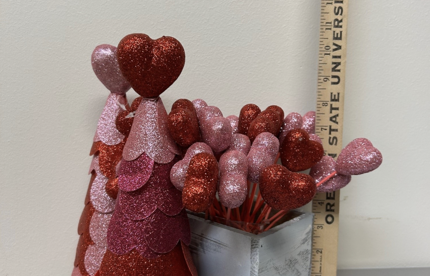 D270 heart collection