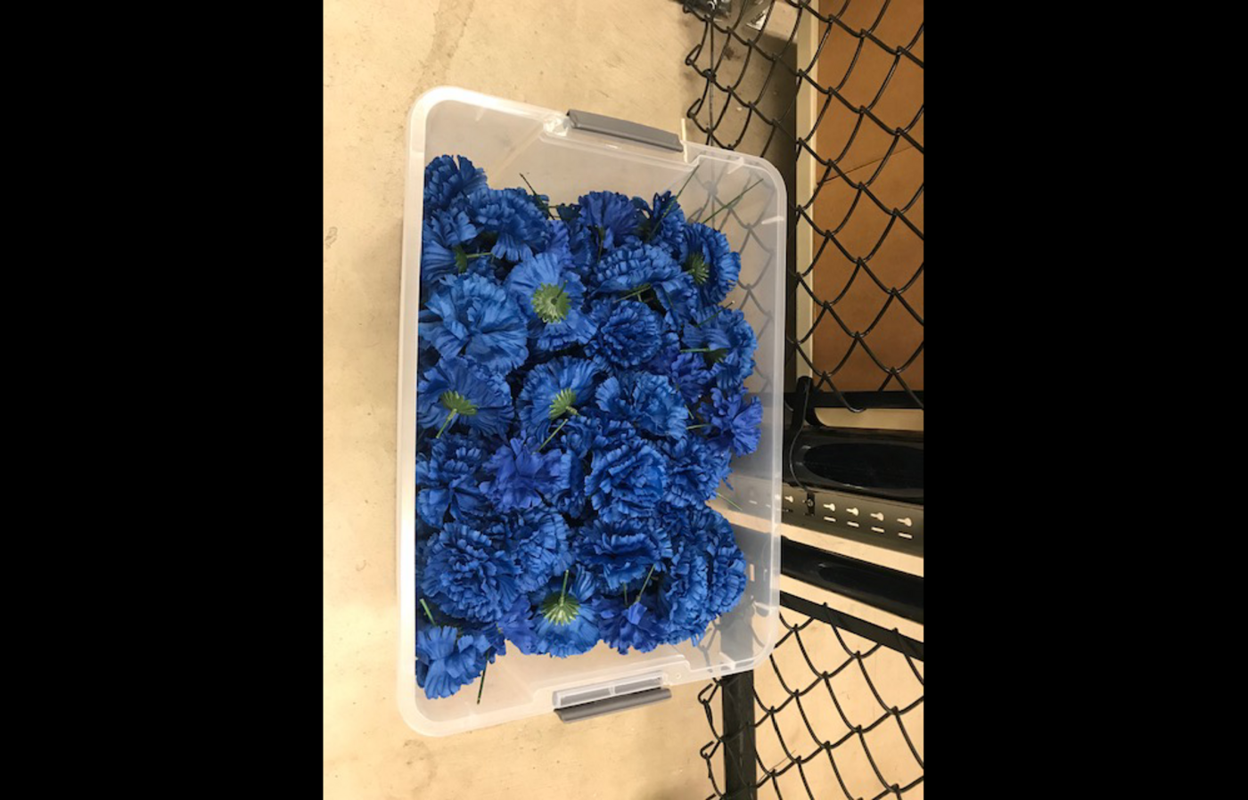 Blue silk flowers