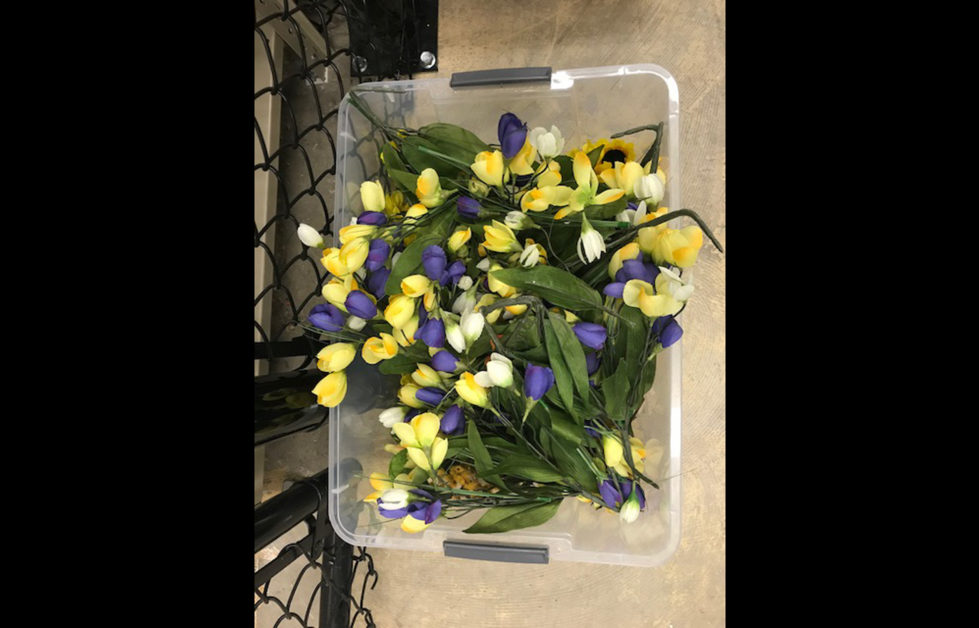 Silk tulips