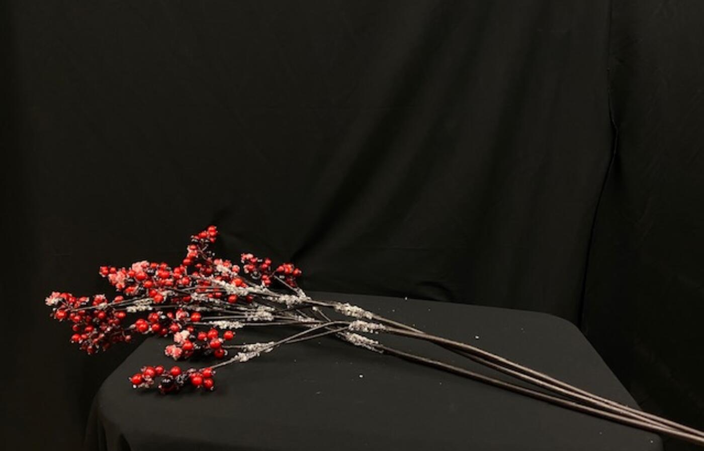 Red cranberry stem