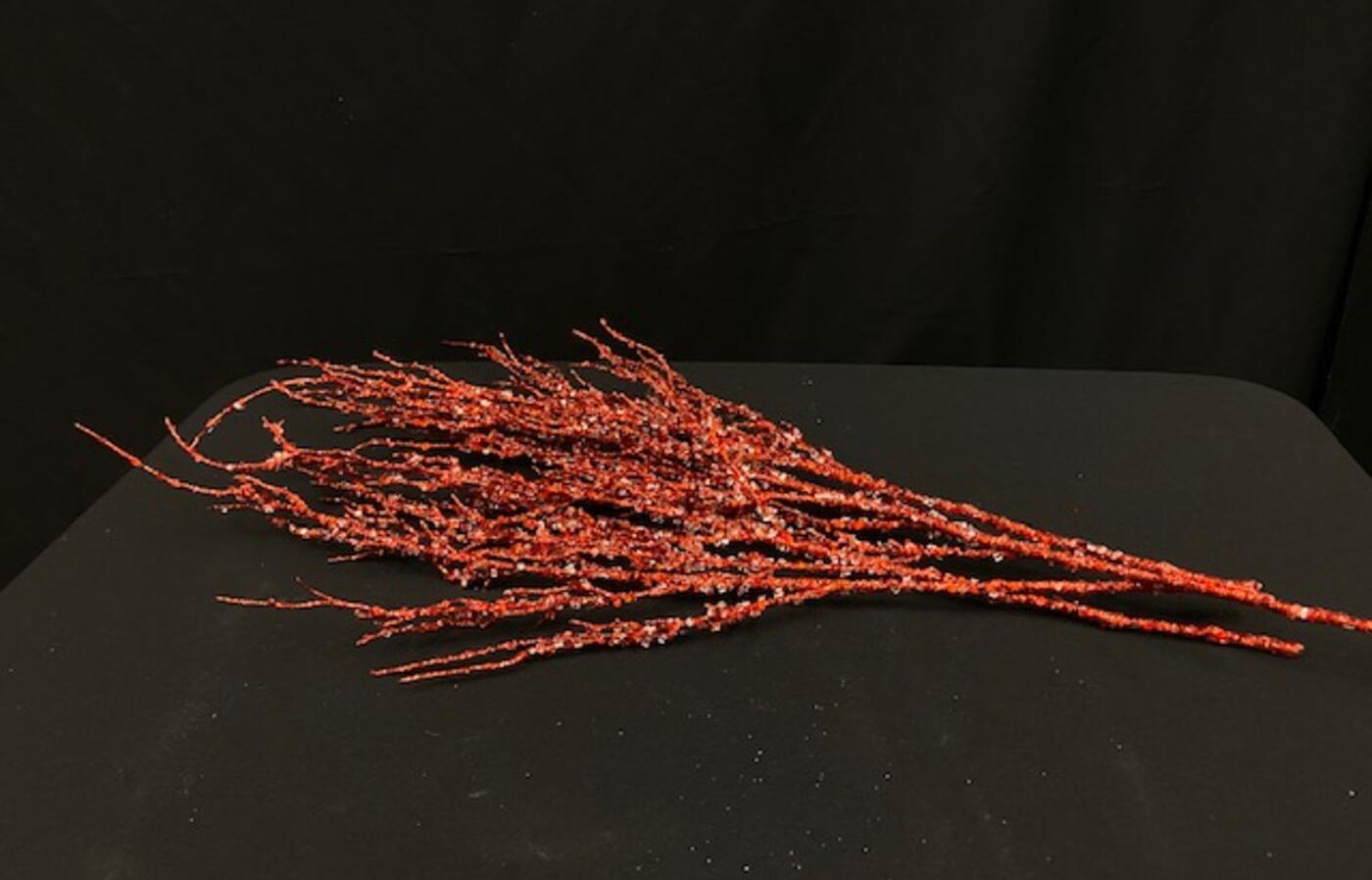 Red glitter stems