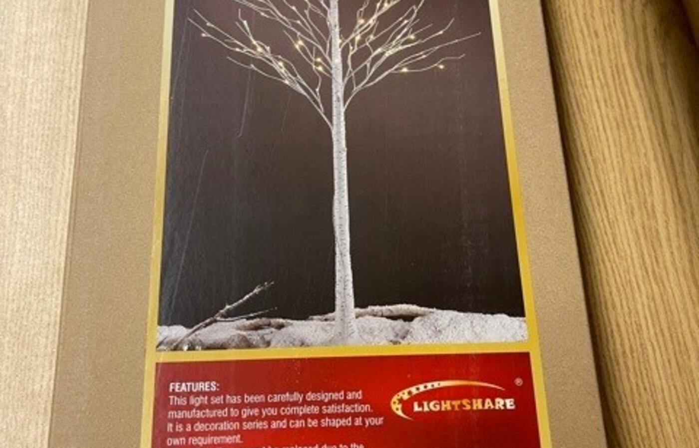 lighted birch tree