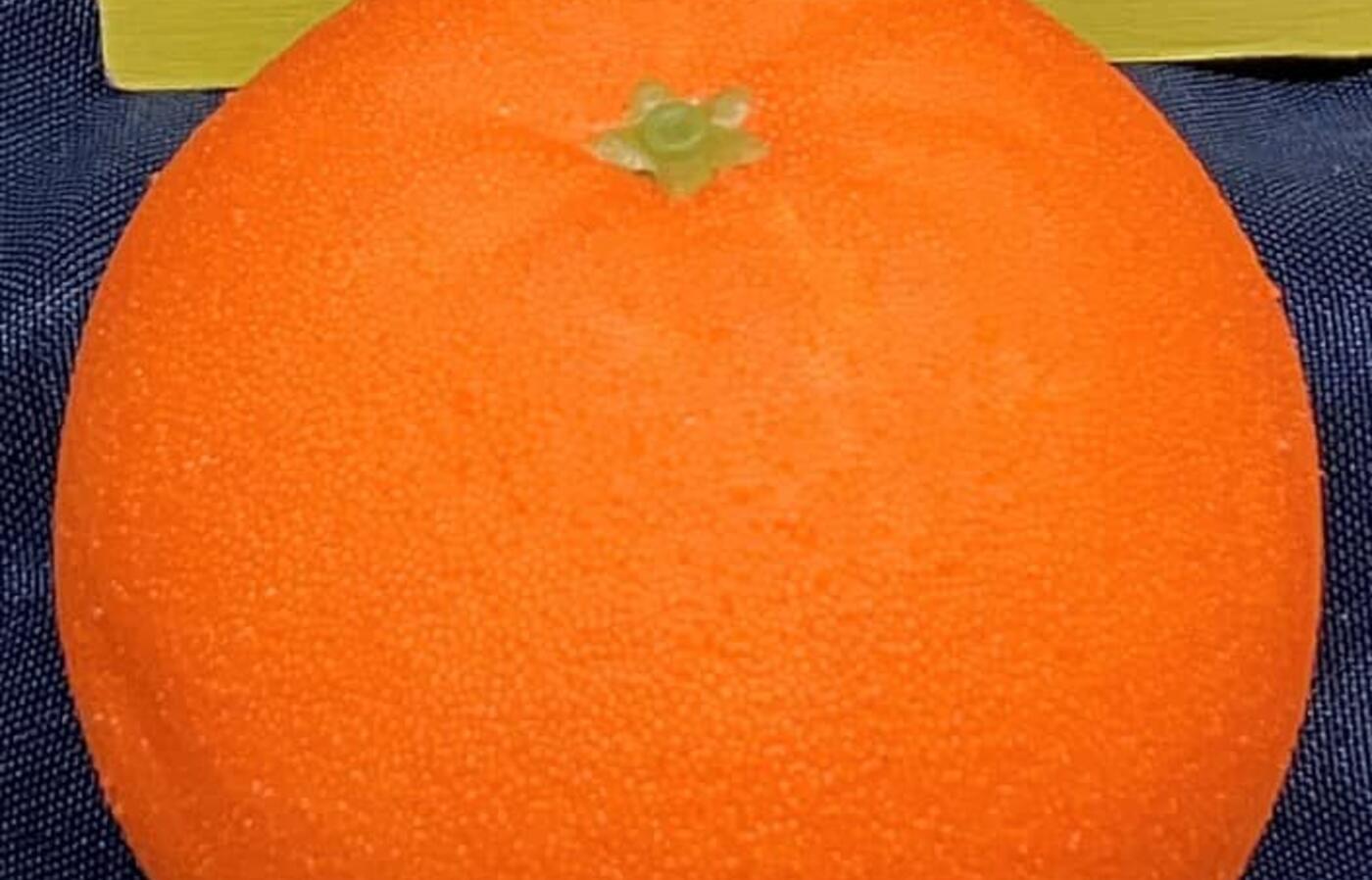 Fake orange fruit