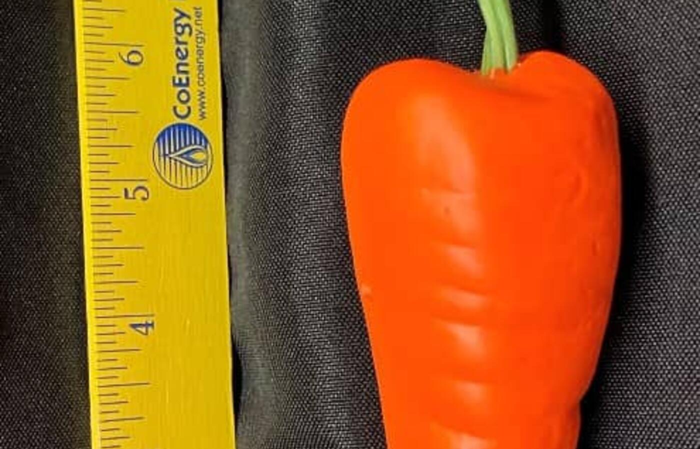 Artificial Carrot 