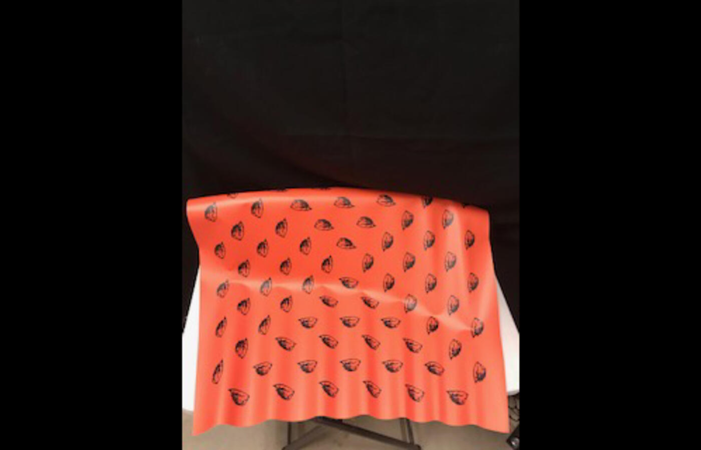 Beaver banner 