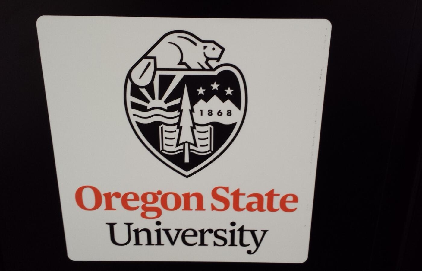 White logo magnet 